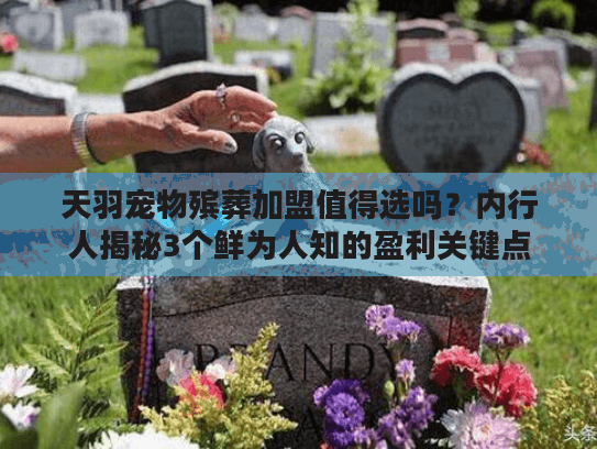 天羽宠物殡葬加盟值得选吗？内行人揭秘3个鲜为人知的盈利关键点