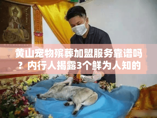 黄山宠物殡葬加盟服务靠谱吗？内行人揭露3个鲜为人知的盈利门道