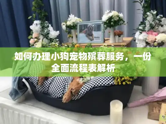 如何办理小狗宠物殡葬服务，一份全面流程表解析