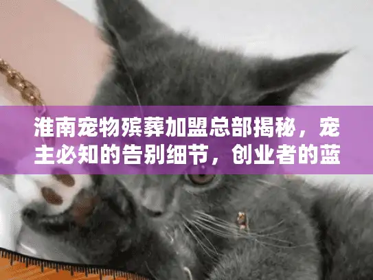 淮南宠物殡葬加盟总部揭秘，宠主必知的告别细节，创业者的蓝海机会？