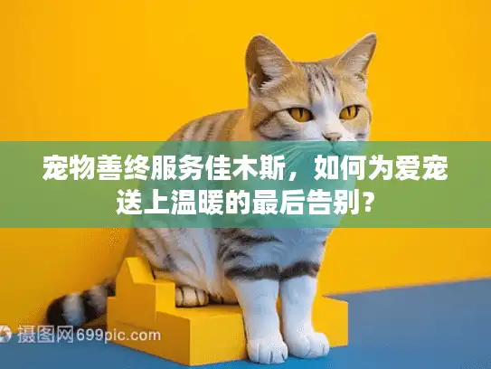 宠物善终服务佳木斯，如何为爱宠送上温暖的最后告别？