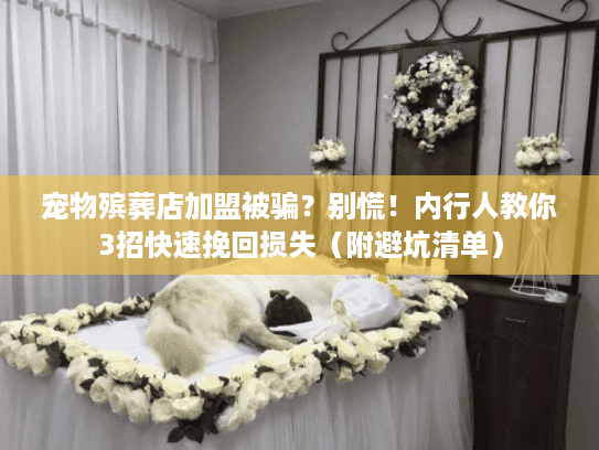 宠物殡葬店加盟被骗？别慌！内行人教你3招快速挽回损失（附避坑清单）