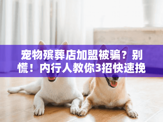 宠物殡葬店加盟被骗？别慌！内行人教你3招快速挽回损失（附避坑清单）