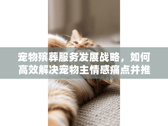宠物殡葬服务发展战略,如何高效解决宠物主情感痛点并推动行业增长? 宠物殡葬服务发展战略,如何高效解决宠物主情感痛点并推动行业增长?