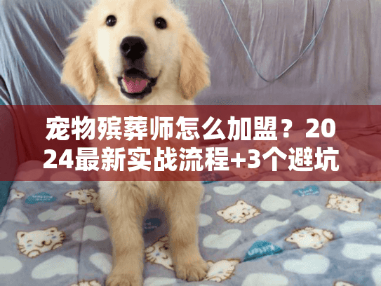 宠物殡葬师怎么加盟？2024最新实战流程+3个避坑案例（内附稀缺资源）