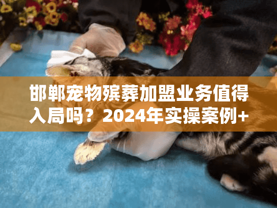邯郸宠物殡葬加盟业务值得入局吗？2024年实操案例+行业内幕全揭秘