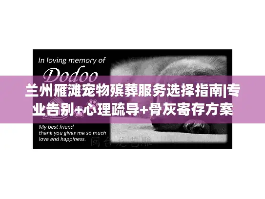 兰州雁滩宠物殡葬服务选择指南|专业告别+心理疏导+骨灰寄存方案