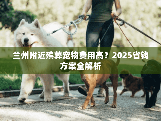 兰州附近殡葬宠物费用高？2025省钱方案全解析
