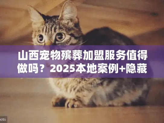 山西宠物殡葬加盟服务值得做吗?2025本地案例+隐藏机会揭秘 山西宠物殡葬加盟服务值得做吗?2025本地案例+隐藏机会揭秘
