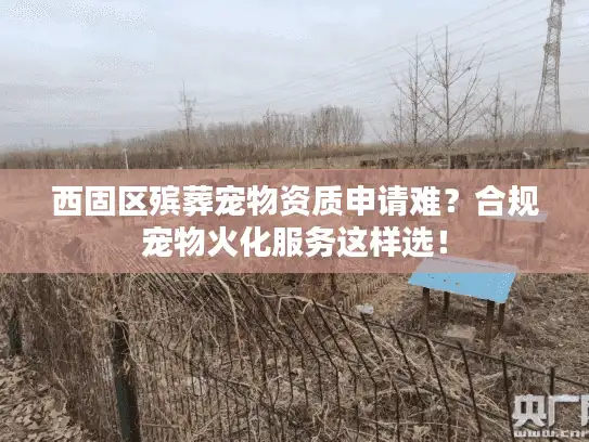 西固区殡葬宠物资质申请难？合规宠物火化服务这样选！