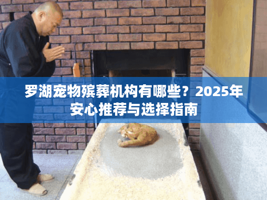 罗湖宠物殡葬机构有哪些？2025年安心推荐与选择指南