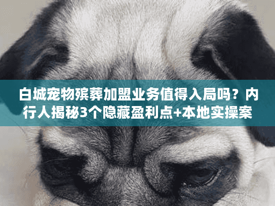 白城宠物殡葬加盟业务值得入局吗？内行人揭秘3个隐藏盈利点+本地实操案例