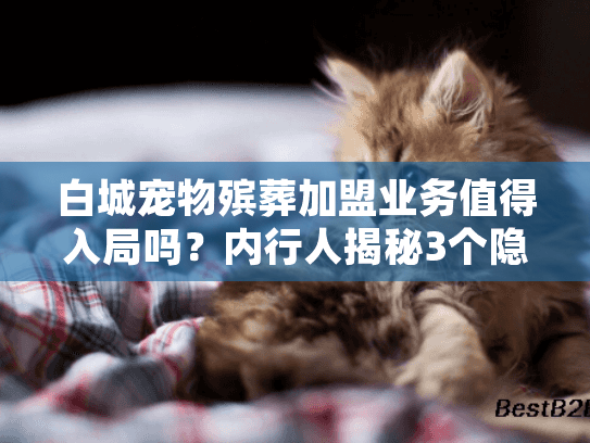 白城宠物殡葬加盟业务值得入局吗？内行人揭秘3个隐藏盈利点+本地实操案例