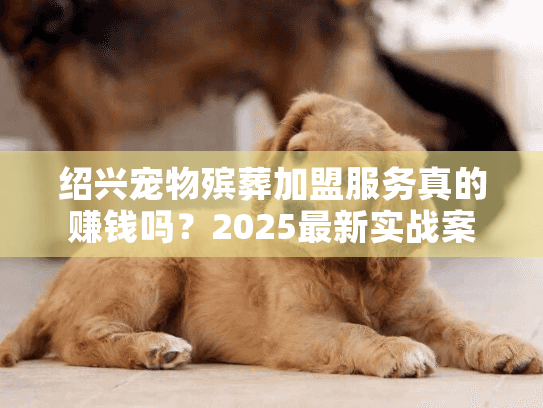 绍兴宠物殡葬加盟服务真的赚钱吗？2025最新实战案例揭秘行业真相！