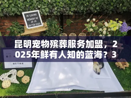 昆明宠物殡葬服务加盟，2025年鲜有人知的蓝海？3个本地老板的赚钱秘籍