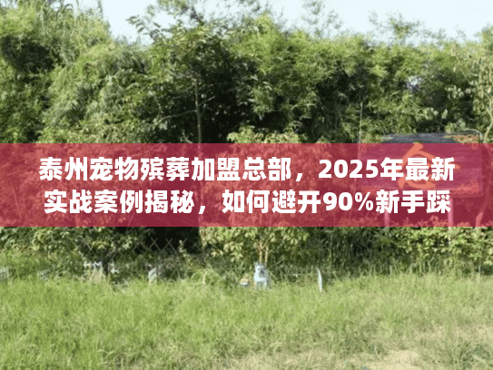 泰州宠物殡葬加盟总部，2025年最新实战案例揭秘，如何避开90%新手踩的坑？