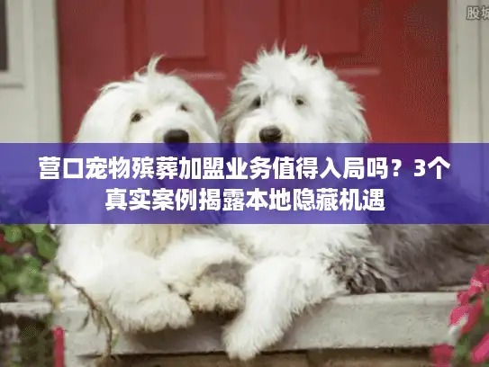 营口宠物殡葬加盟业务值得入局吗?3个真实案例揭露本地隐藏机遇 营口宠物殡葬加盟业务值得入局吗?3个真实案例揭露本地隐藏机遇