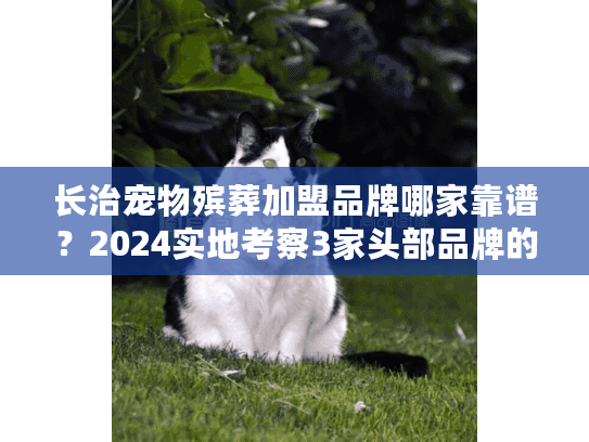 长治宠物殡葬加盟品牌哪家靠谱？2024实地考察3家头部品牌的真实体验