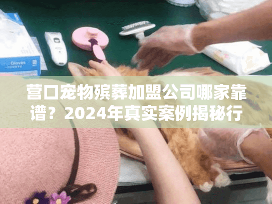 营口宠物殡葬加盟公司哪家靠谱？2024年真实案例揭秘行业隐藏规则