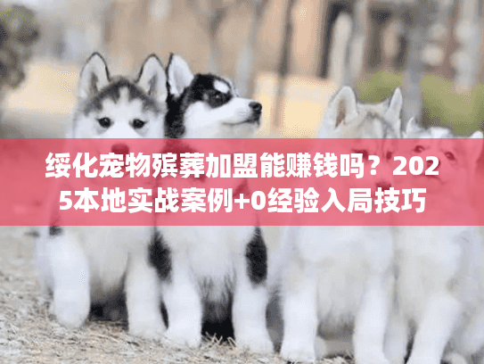 绥化宠物殡葬加盟能赚钱吗?2025本地实战案例+0经验入局技巧 绥化宠物殡葬加盟能赚钱吗?2025本地实战案例+0经验入局技巧