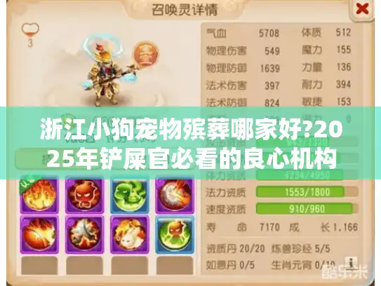 浙江小狗宠物殡葬哪家好?2025年铲屎官必看的良心机构筛选指南