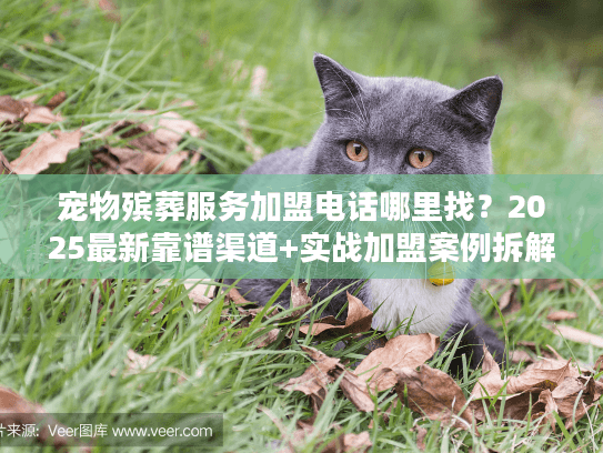 宠物殡葬服务加盟电话哪里找？2025最新靠谱渠道+实战加盟案例拆解