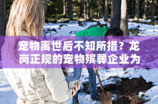宠物离世后不知所措？龙岗正规的宠物殡葬企业为您提供专业解决方案