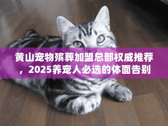 黄山宠物殡葬加盟总部权威推荐,2025养宠人必选的体面告别方案! 黄山宠物殡葬加盟总部权威推荐,2025养宠人必选的体面告别方案!