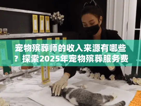 宠物殡葬师的收入来源有哪些？探索2025年宠物殡葬服务费用趋势
