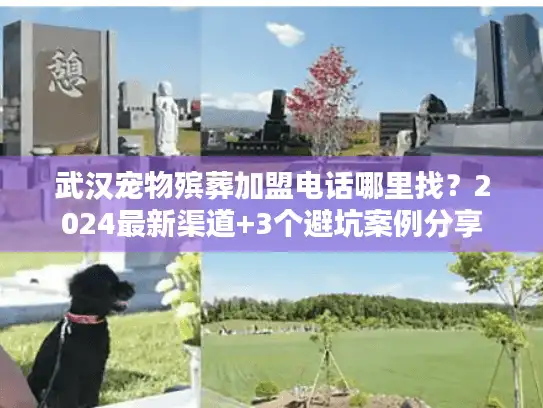 武汉宠物殡葬加盟电话哪里找？2024最新渠道+3个避坑案例分享