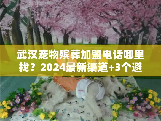 武汉宠物殡葬加盟电话哪里找？2024最新渠道+3个避坑案例分享