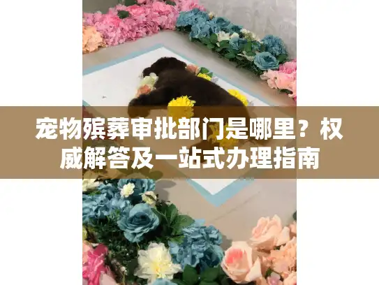 宠物殡葬审批部门是哪里？权威解答及一站式办理指南