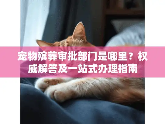 宠物殡葬审批部门是哪里？权威解答及一站式办理指南