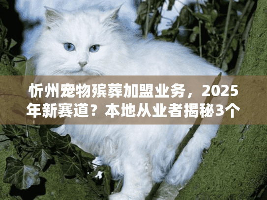 忻州宠物殡葬加盟业务,2025年新赛道?本地从业者揭秘3个赚钱密码! 忻州宠物殡葬加盟业务,2025年新赛道?本地从业者揭秘3个赚钱密码!
