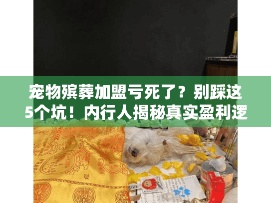 宠物殡葬加盟亏死了？别踩这5个坑！内行人揭秘真实盈利逻辑