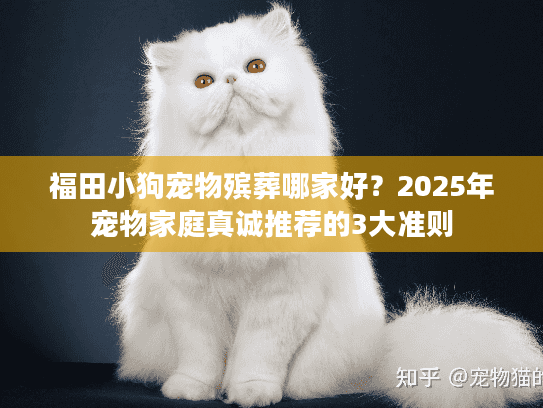 福田小狗宠物殡葬哪家好?2025年宠物家庭真诚推荐的3大准则 福田小狗宠物殡葬哪家好?2025年宠物家庭真诚推荐的3大准则