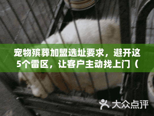 宠物殡葬加盟选址要求，避开这5个雷区，让客户主动找上门（2025年实战案例）