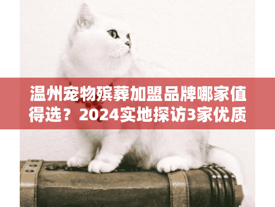 温州宠物殡葬加盟品牌哪家值得选?2024实地探访3家优质品牌(附避坑指南) 温州宠物殡葬加盟品牌哪家值得选?2024实地探访3家优质品牌(附避坑指南)