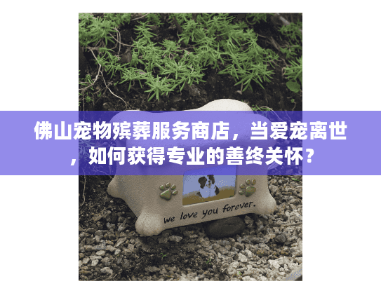 佛山宠物殡葬服务商店，当爱宠离世，如何获得专业的善终关怀？