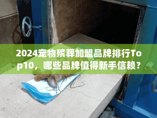 2024宠物殡葬加盟品牌排行Top10，哪些品牌值得新手信赖？