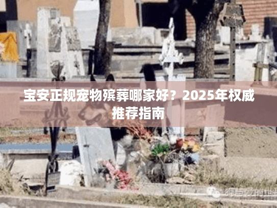 宝安正规宠物殡葬哪家好？2025年权威推荐指南