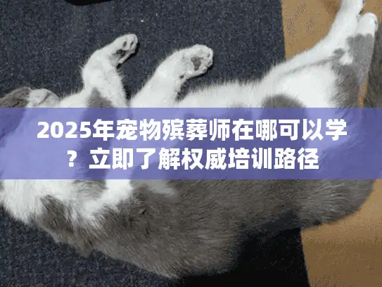 2025年宠物殡葬师在哪可以学?立即了解权威培训路径 2025年宠物殡葬师在哪可以学?立即了解权威培训路径
