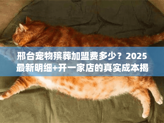 邢台宠物殡葬加盟费多少？2025最新明细+开一家店的真实成本揭秘