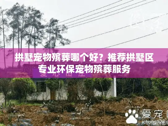 拱墅宠物殡葬哪个好？推荐拱墅区专业环保宠物殡葬服务