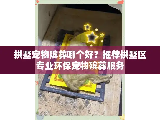 拱墅宠物殡葬哪个好？推荐拱墅区专业环保宠物殡葬服务