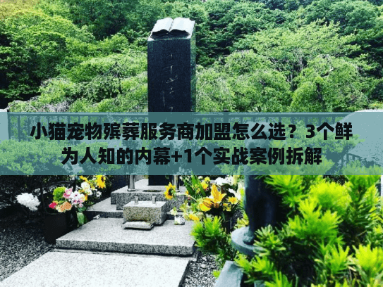小猫宠物殡葬服务商加盟怎么选？3个鲜为人知的内幕+1个实战案例拆解