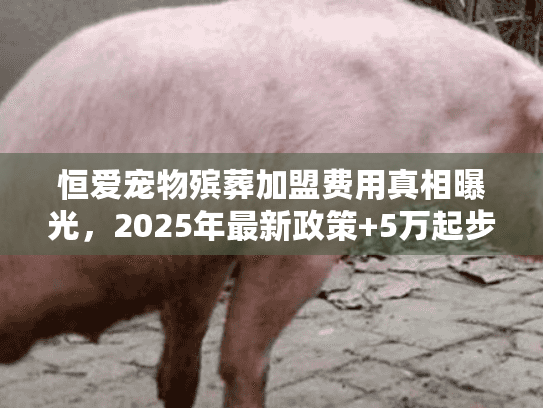 恒爱宠物殡葬加盟费用真相曝光，2025年最新政策+5万起步是噱头吗？