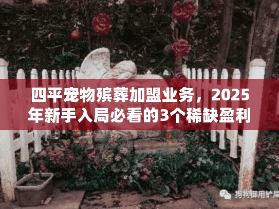四平宠物殡葬加盟业务，2025年新手入局必看的3个稀缺盈利点？