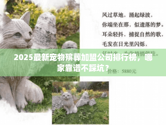 2025最新宠物殡葬加盟公司排行榜，哪家靠谱不踩坑？