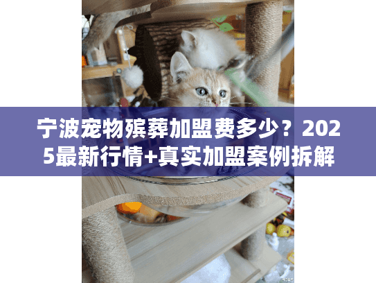 宁波宠物殡葬加盟费多少？2025最新行情+真实加盟案例拆解